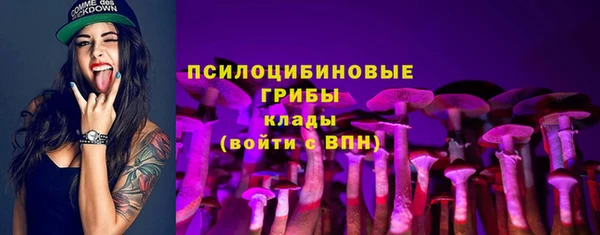 MDMA Осинники