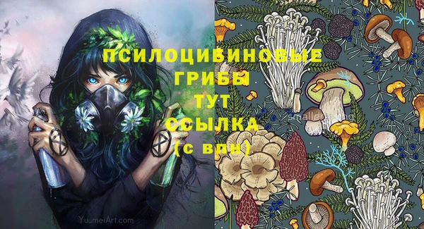 мяу мяу мука Куйбышев